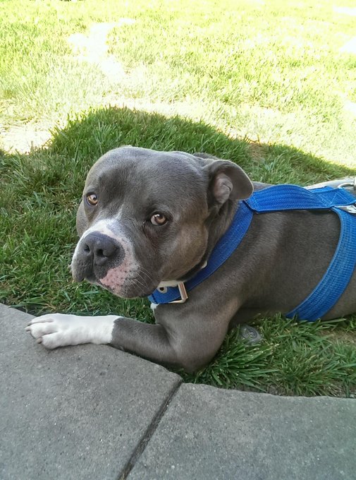 My #baby http://t.co/9jrhMgxAFh<a href="/tag/baby"class="tags">#baby</a>