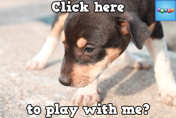 Lady Precious tweet media