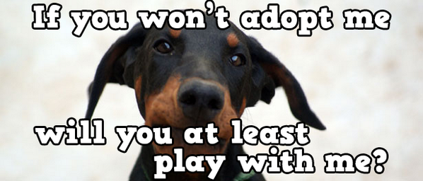 Lady Precious tweet media