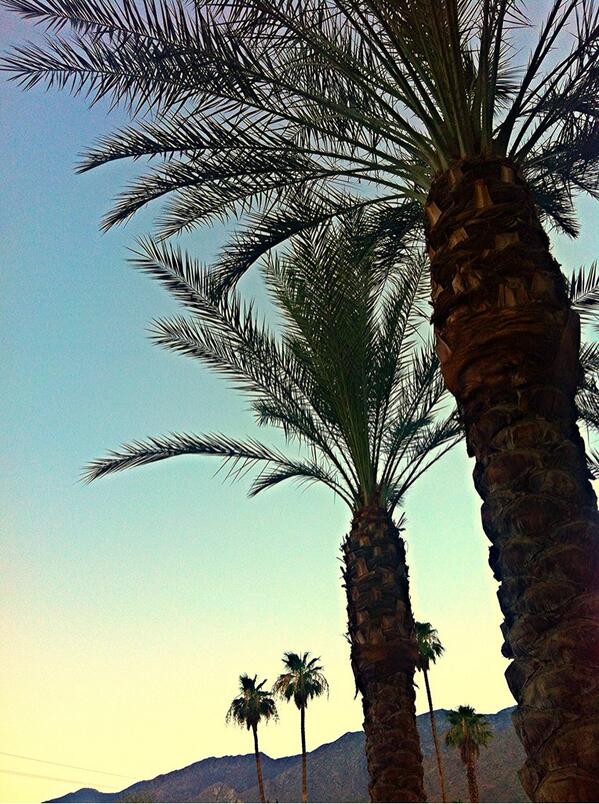 Our film opened the "Artistic License" program today. Love being in Palm Springs for the shorts fest. <a href="/PSFilmFest/">Palm Springs Film Festival</a>