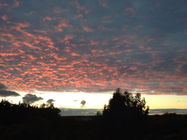 CarlMHarris's tweet photo. @bbcbreakfast http://t.co/R3ke4BQl52