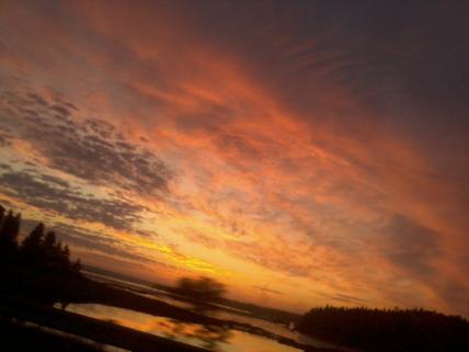 Peter Grubb tweet media