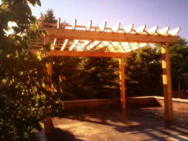 elementlandscapes tweet media