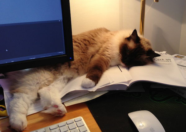 Slokna når hun kom til "Advanced C" kapittelet