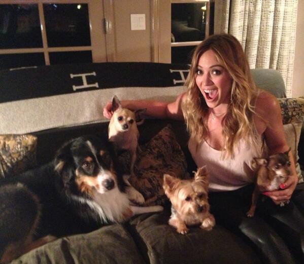HilaryDuff's tweet photo. Hi @Purina, heard you're celebrating #PetsAtWork today and I know a few guys who are excited!!! http://t.co/rm7c8Rx9u3