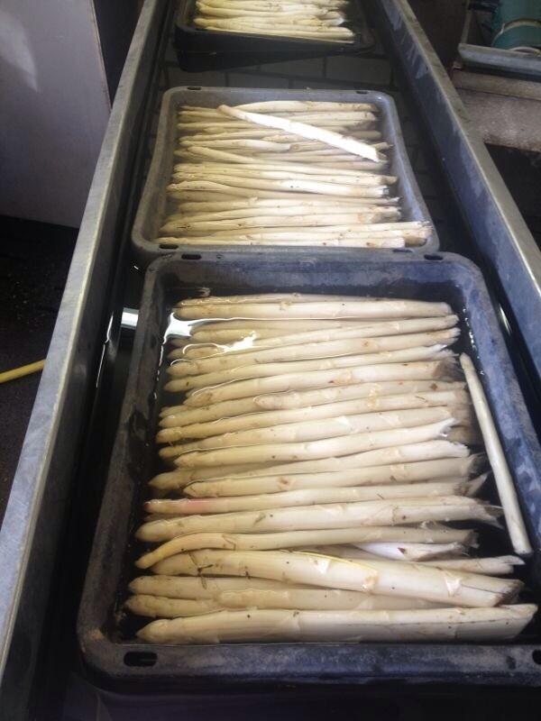 Geniet dit weekend nog van onze heerlijke asperges uit Alverna <a href="/Leursehof/">Rest. De Leursehof</a>