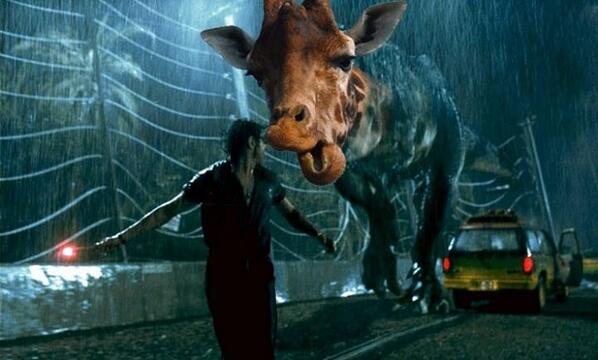 JWilson6289's tweet image. @chain_of_events