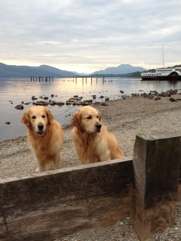 IRobertsonSNP's tweet image. Here is my midsummer photo #bbcmidsummer Loch Lomond &amp;amp; Ben Lomond @lomondshores