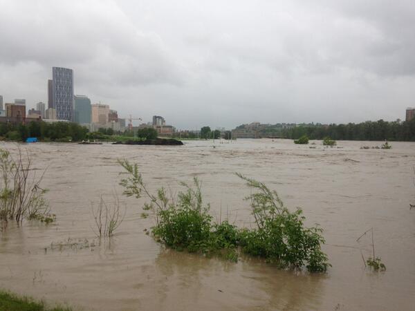 bmousse's tweet photo. Elbow meets bow #yycflood http://t.co/4O2zbHMAAq