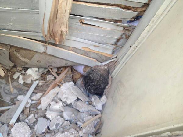 MsMarpleMoshi's tweet image. احد الشهداء العالقين تحت الانقاض جراءاستهداف حي #القابون بصواريخ ارض ارض #دمشق
اللهم عليك ببشار وجنده فانهم لايعجزونك