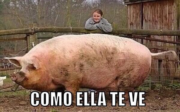 ColegioCuenca's tweet photo. Parejas cuencanas!!! TIIIIPICO!!! #ColesCuenca http://t.co/haM5eLabo5