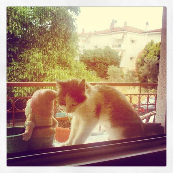 sofilatte's tweet image. @iansomerhalder #petatwork did you see my kitty?? isn't she adorable??