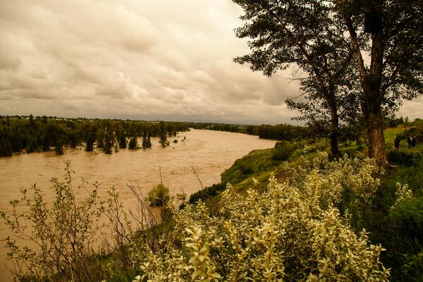 Darren Wood tweet media