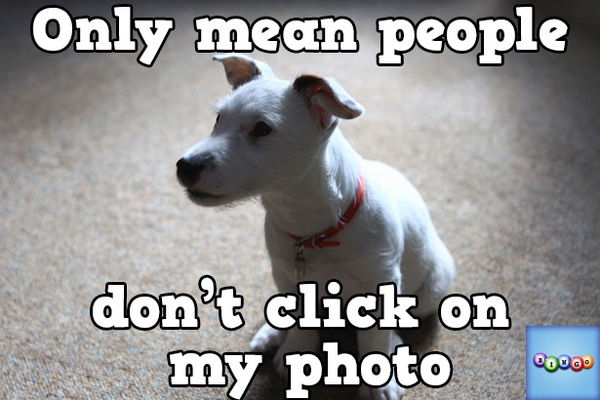 staion2's tweet photo. Play Bingo with Friends! #ilovebingo #BingoRun http://t.co/JhlGiLbMGi http://t.co/NAGssHery3