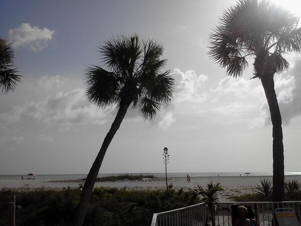 Lin_Sully's tweet image. @MorganSloan95