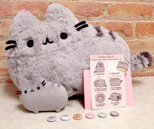 pusheen book plush