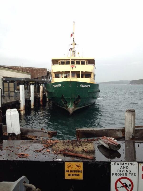 Breakn_'s tweet image. Hugo's Manly received a scare this morning.