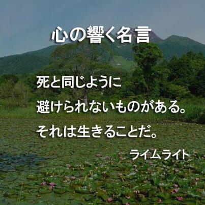 心に響く名言 Pinacopinaco Twitter