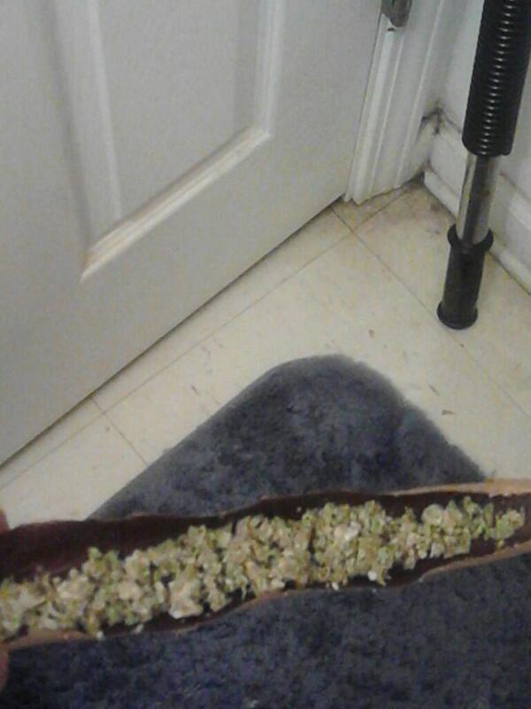 Keep1Rolled88's tweet image. Finna blow diz gas 93 octane #KushFlow