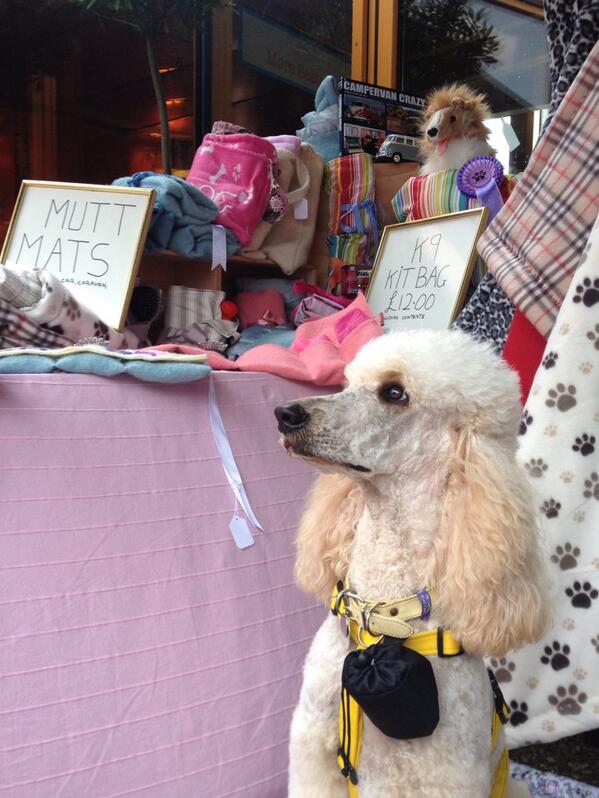 AdnamsMidsummerFair tweet media