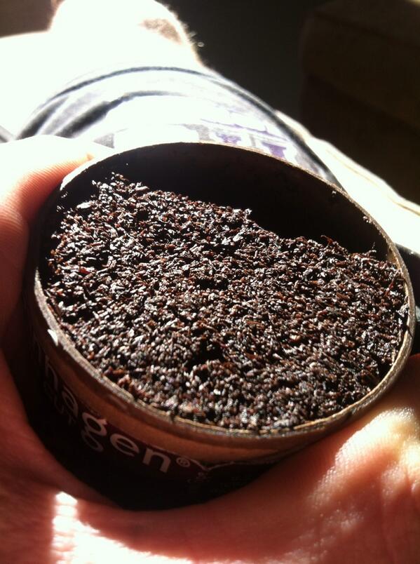 Az_Dipper tweet picture