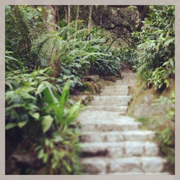 ballagustina's tweet photo. Mystical hike @InkaterraHotels, Peru. http://t.co/MENpzxM3ww