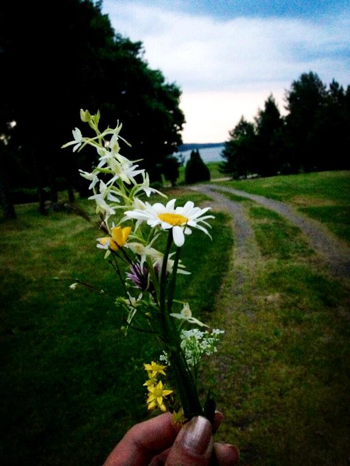 Hanna Storsjö - Midsummer! Slept with 7 flowers under the pillow to see my future husband. No nightmares/orgy dreams thank god! :) http://t.co/pzpZHidhEn