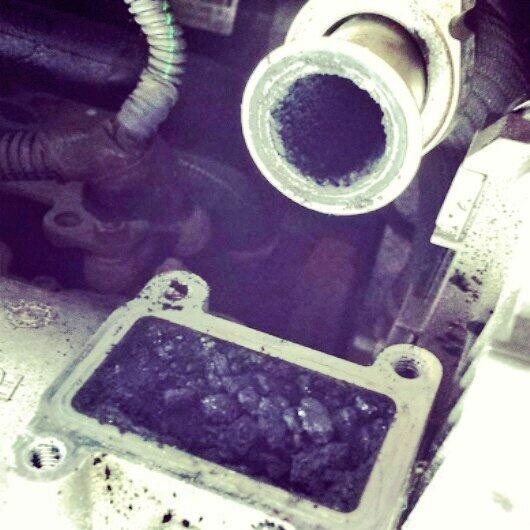 RooBear4's tweet image. My choked EGR and manifold. #PoorAli
