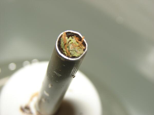FortWorthWeed's tweet photo. gravity hitter  #stonedoffmytits http://t.co/ypQoBBHIeL