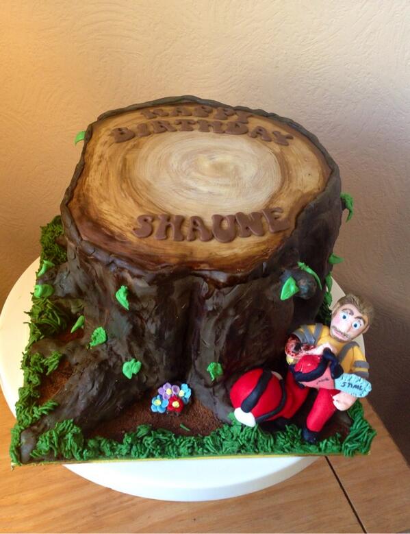 VanillaVelCake's tweet photo. @mycakedeco  this is the cake I had most fun making, I'm a hobby baker and only started cake decorating in feb http://t.co/idQ0vK37uI