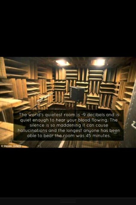 Who's tryna go with me? http://t.co/mt5DlQ1sZp