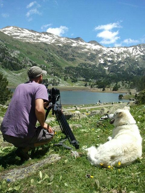 aranchavega's tweet photo. Men (&amp; dogs) at work.. http://t.co/RH2Mai3byI
