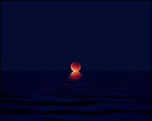 incredibleviews tweet picture