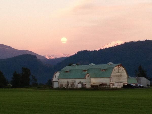 What does 1 do in Abby on a saturday? What the biggest moon (not) on earth rise!