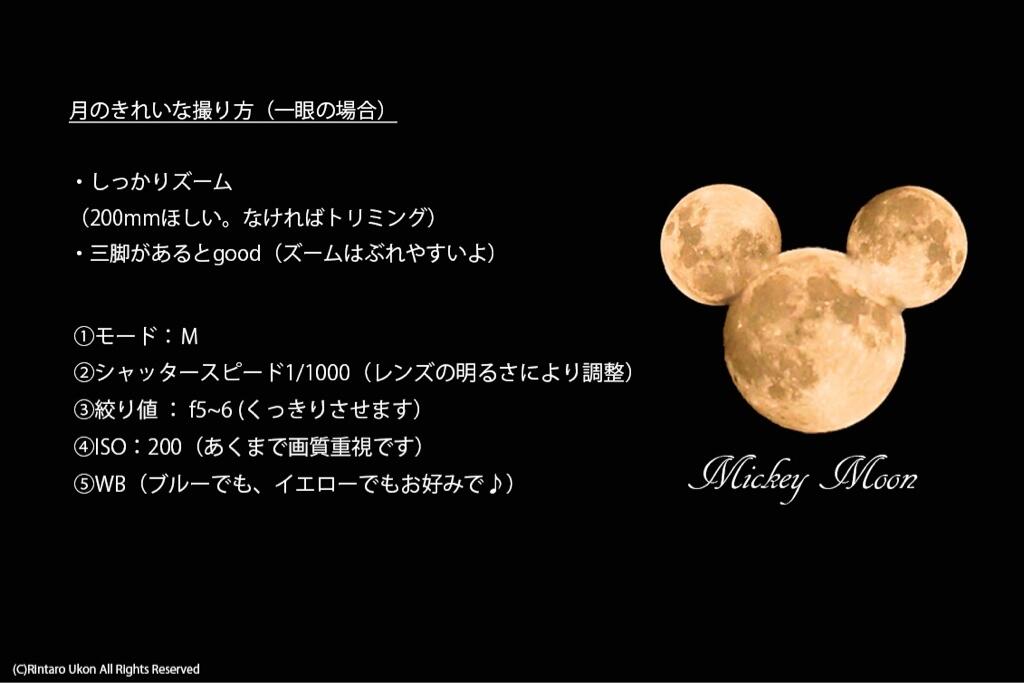 月 の 綺麗 な 撮り 方 年最新 月を綺麗に撮れるコンデジのおすすめ5選と撮影方法を紹介 Amp Petmd Com