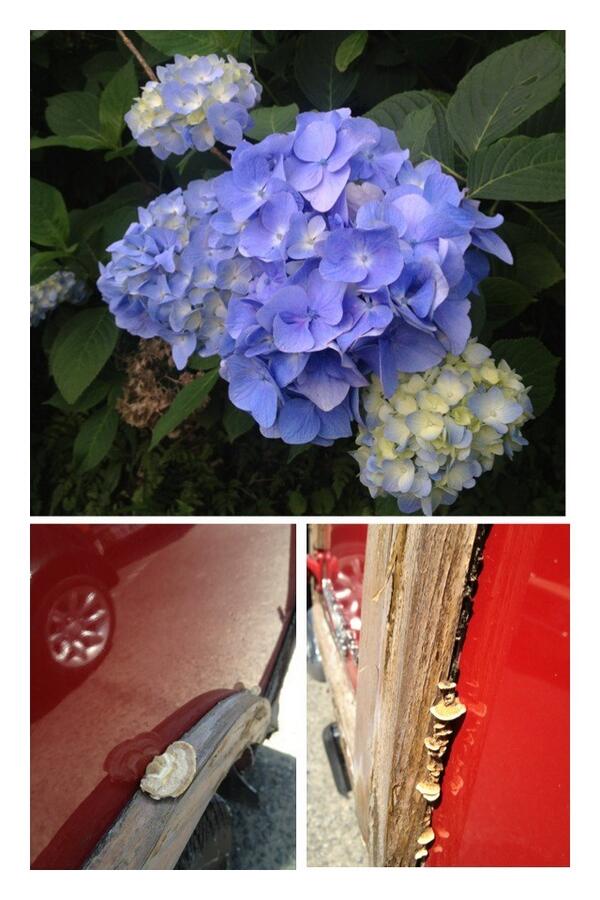 emirin_mini tweet picture