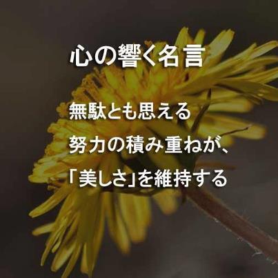 心に響く名言 努力は必要だね Http T Co E6cmmz9aqf Twitter 心に響く名言 努力は必要だね Http T Co E6cmmz9aqf Twitter