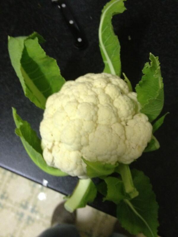 Our first bio cauliflower ! Mmmmm delicious