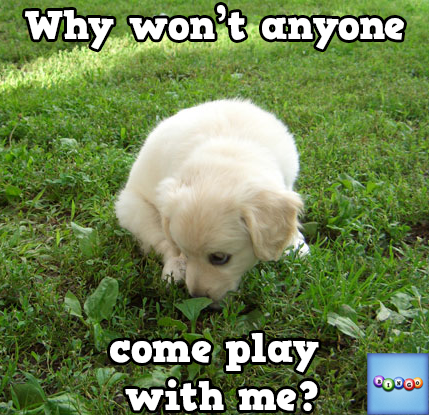 Lady Precious tweet media