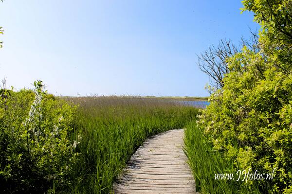 Mooi stukje natuur op <a href="/Ameland_NL/">op-Ameland.nl</a>