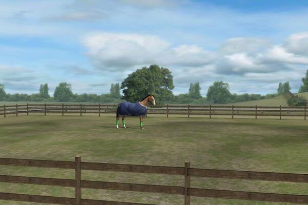 razt182's tweet photo. Mira mi foto! Add me, Razt. #MyHorse http://t.co/V0Xdms7CAR http://t.co/Mc25vb0JCe