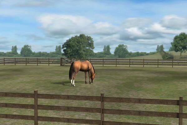 razt182's tweet photo. Mira mi foto! Add me, Razt. #MyHorse http://t.co/V0Xdms7CAR http://t.co/gUGylN4Qbr