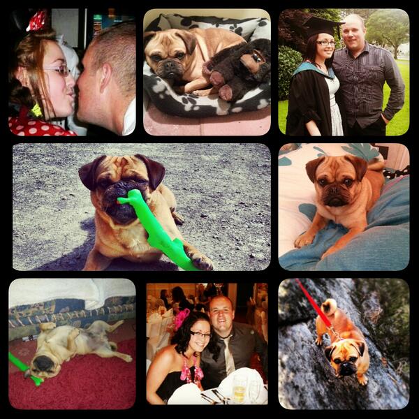 cer_ang's tweet photo. My little family ♥ http://t.co/3dQV85tE83