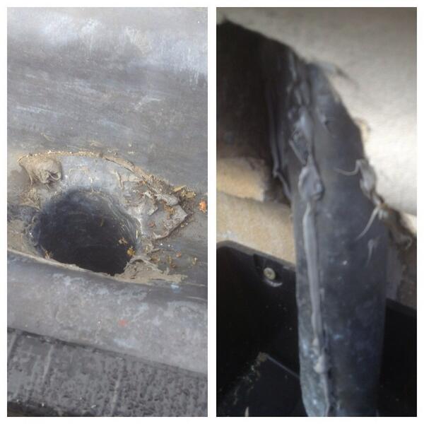 Has anyone seen anything as good as this shit .