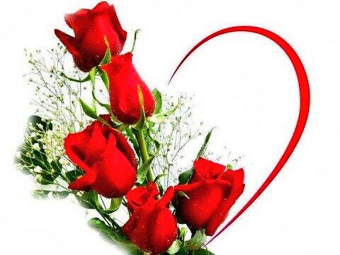 ZoelfahD's tweet photo. Cantik http://t.co/OnaHHTzyFK