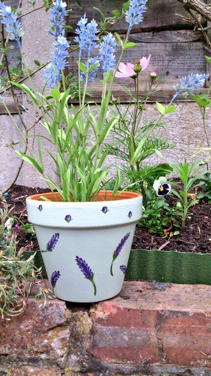 MissZappy's tweet photo. Looks what's growing in the garden! The bees may get confused. http://t.co/LKLIHmms4M