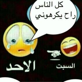 eman_almasri's tweet photo. مسكين الاحد http://t.co/MsFkiBOnwx