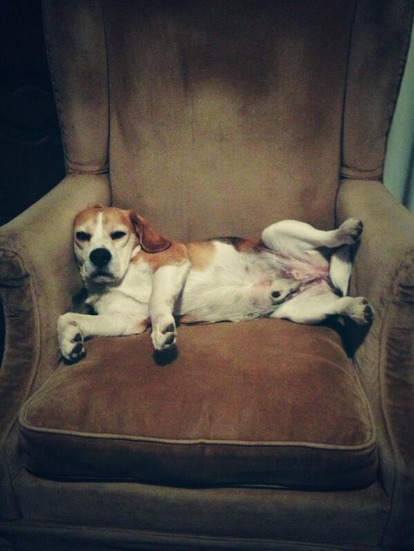 Agus Zagarzazu tweet media