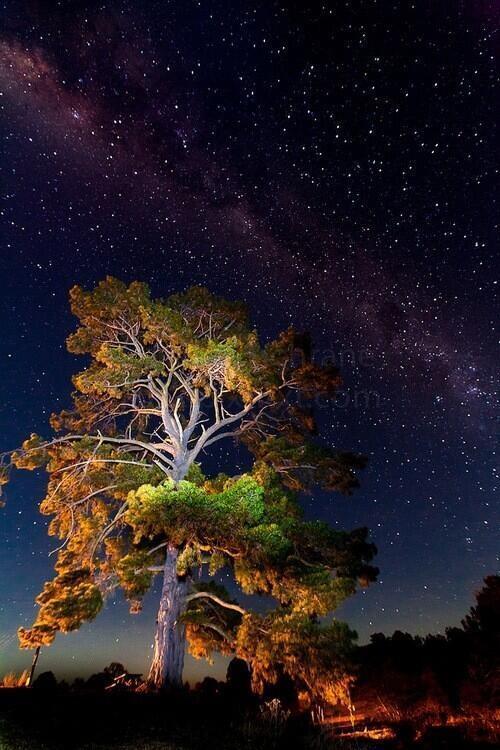 rybotics's tweet photo. And i think to myself, what a wonderful world. http://t.co/7yQPQtjkPJ
