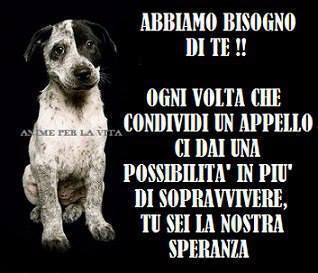 BREEZEOFSAND's tweet photo. CONDIVIDERE SPESSO SALVA TANTE VITE MA NON FACCIAMOLO SOLO DURANTE LA SETTIMANA,LORO SOFFRONO ANCHE NEI WEEKEND http://t.co/lcC203sjHV
